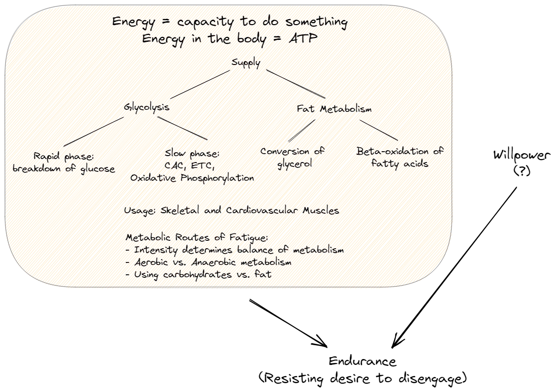 Endurance model with energy